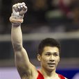張成龍(中國男子體操國家隊隊員)