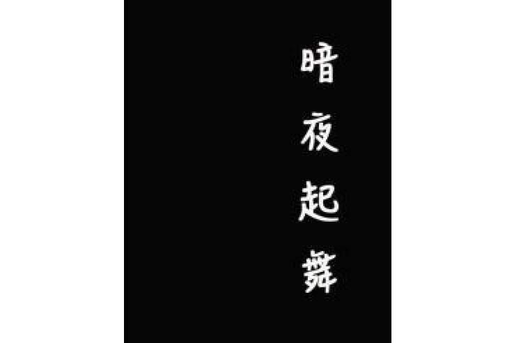 暗夜起舞 暗夜起舞