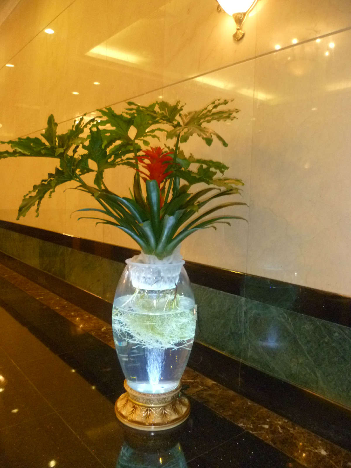 凱奇盆藝水培花瓶