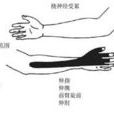 前臂外側和手指觸電樣疼痛
