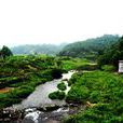 新民村(紹興新昌縣南明街道新民村) 新民村(紹興新昌縣南明街道新民村)
