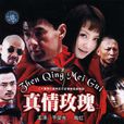 真情玫瑰 真情玫瑰