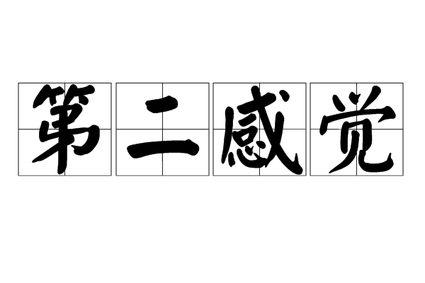 第二感覺 第二感覺