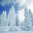 雪(降雪（氣象學名詞）)