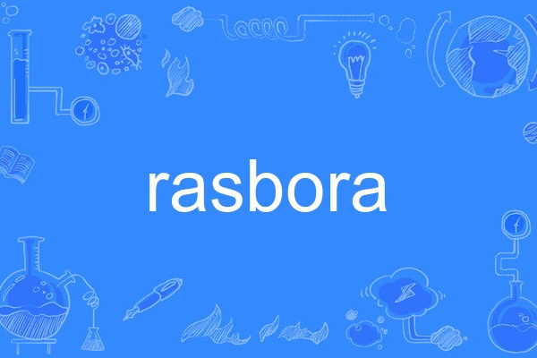 rasbora rasbora