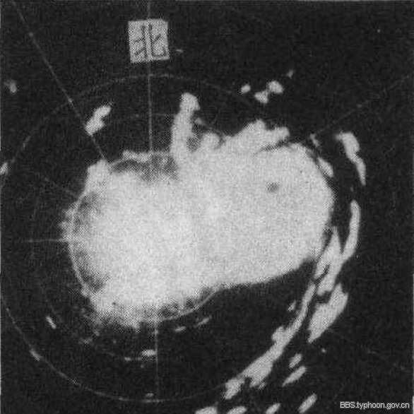 7314號颱風 7314號颱風