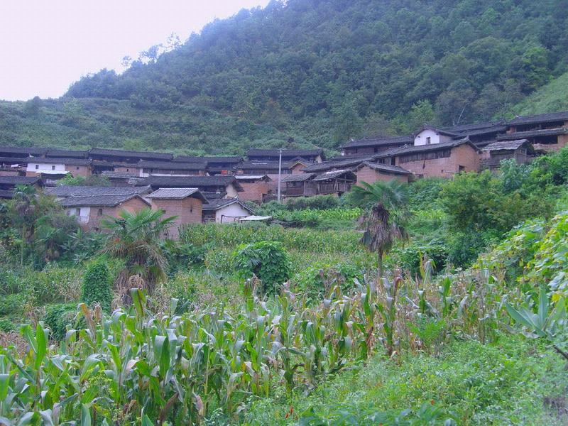 舍務村 舍務村