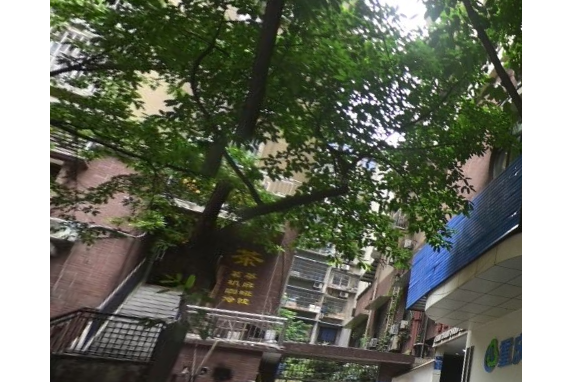 順成樓 順成樓