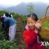 蔡村鄉 蔡村鄉