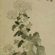水墨菊石圖 水墨菊石圖