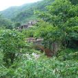 魯胎莫村(雲南新平縣戛灑鎮下轄村) 魯胎莫村(雲南新平縣戛灑鎮下轄村)