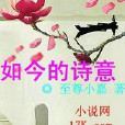 如今的詩意 如今的詩意