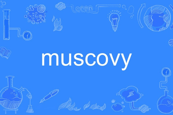 muscovy muscovy