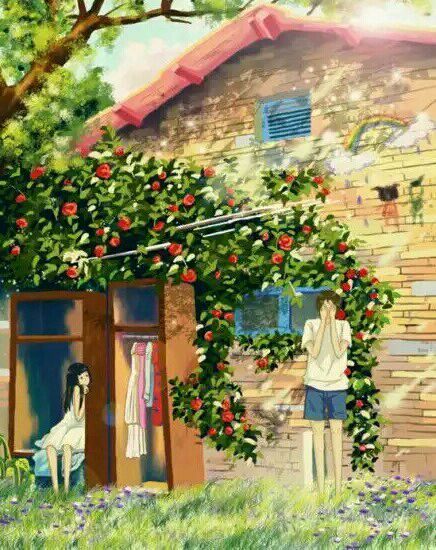 夏界線 夏界線