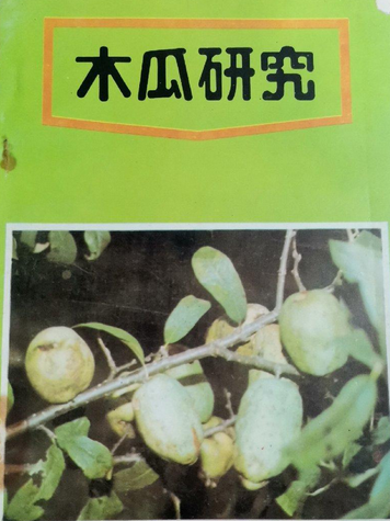 木瓜研究 木瓜研究