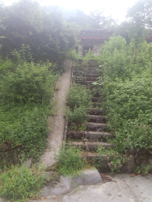 茶場國小 茶場國小