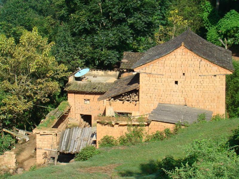羅白東村 羅白東村