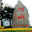 中國酒城 中國酒城