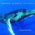 Among Giants Among Giants