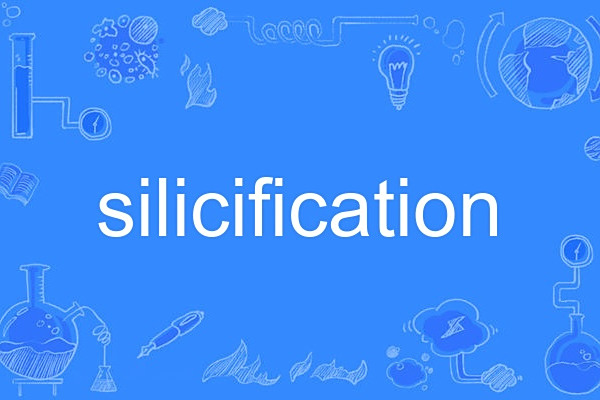 silicification silicification