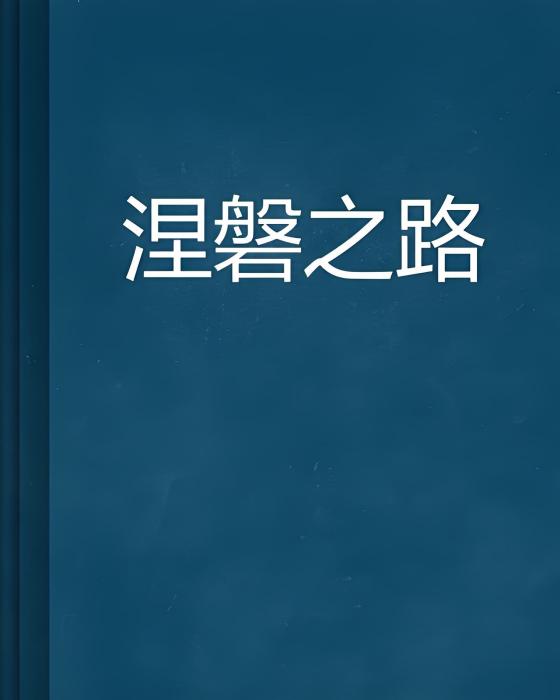 涅磐之路 涅磐之路