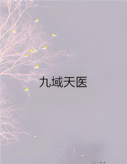 九域天醫 九域天醫