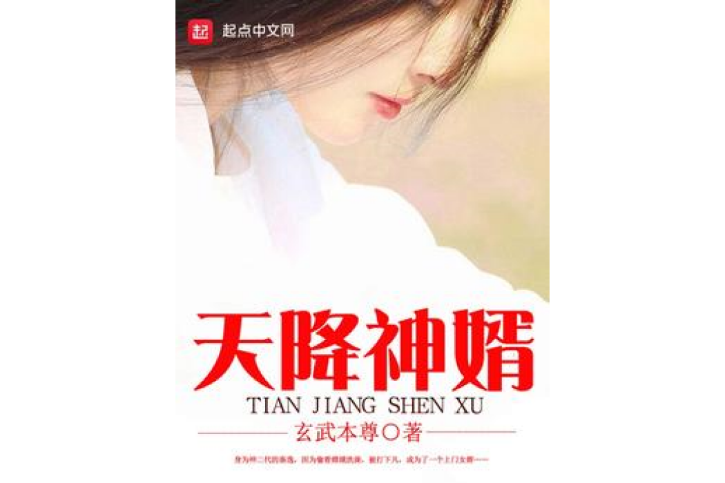 天降神婿(玄武本尊所著小說) 天降神婿(玄武本尊所著小說)