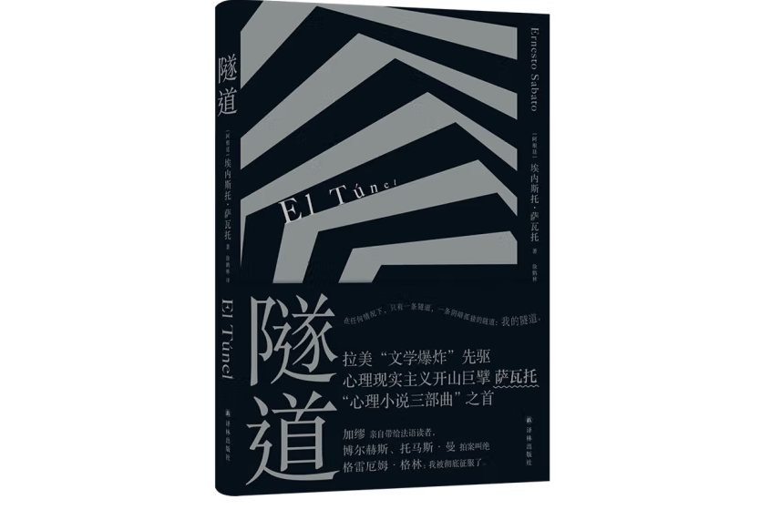 隧道(2023年譯林出版社出版的圖書) 隧道(2023年譯林出版社出版的圖書)