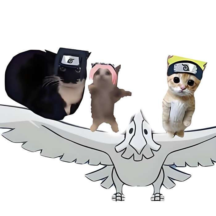貓喵meme日常 貓喵meme日常