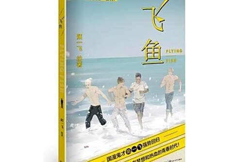 飛魚(2017年長江文藝出版社出版的圖書) 飛魚(2017年長江文藝出版社出版的圖書)