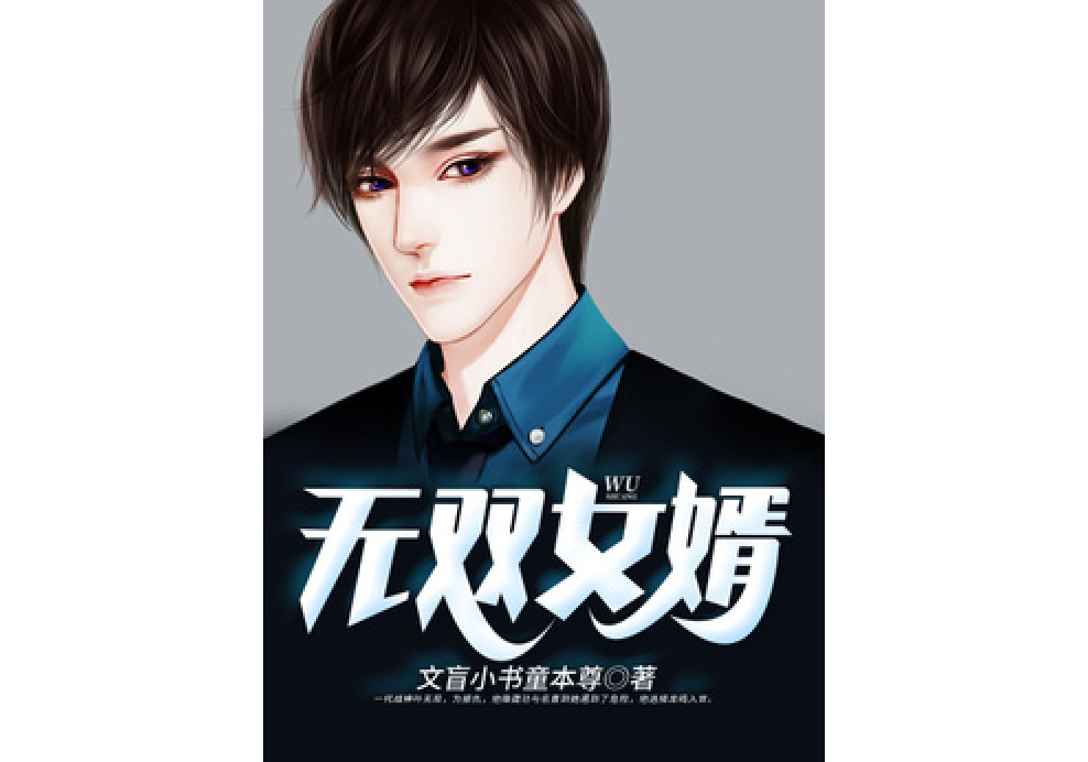 無雙女婿(文盲小書童本尊創作的都市小說) 無雙女婿(文盲小書童本尊創作的都市小說)