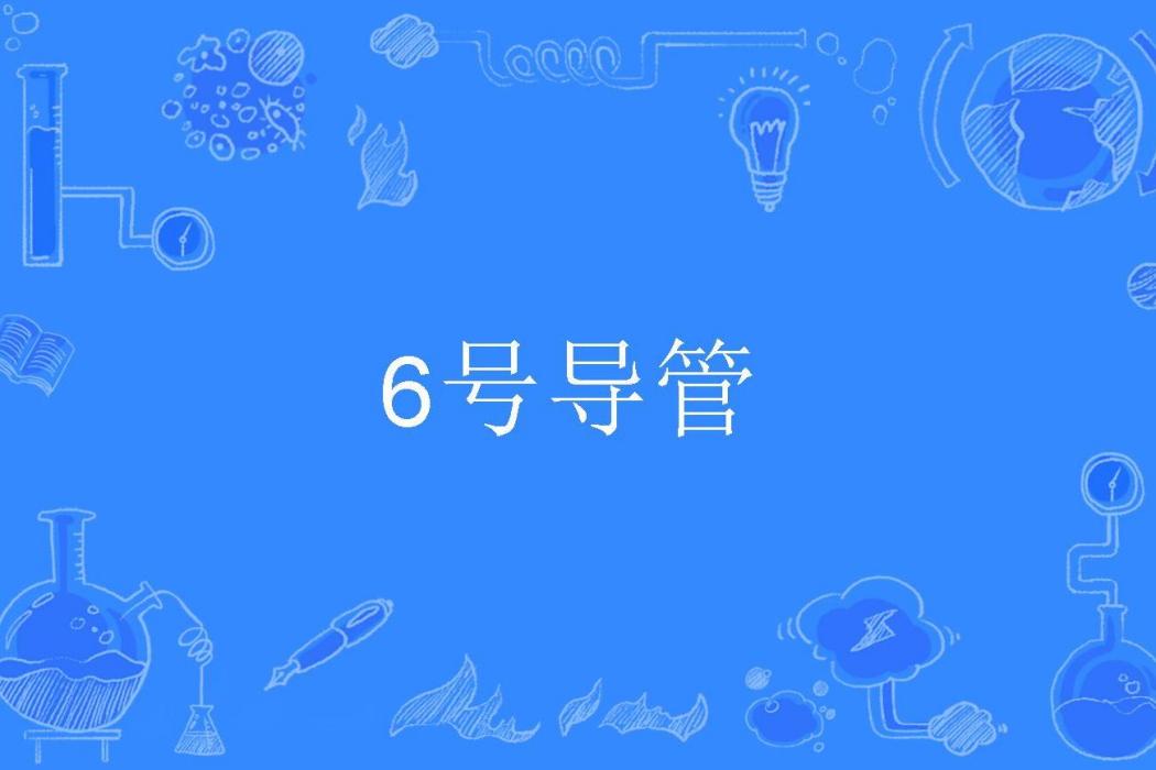 6號導管 6號導管