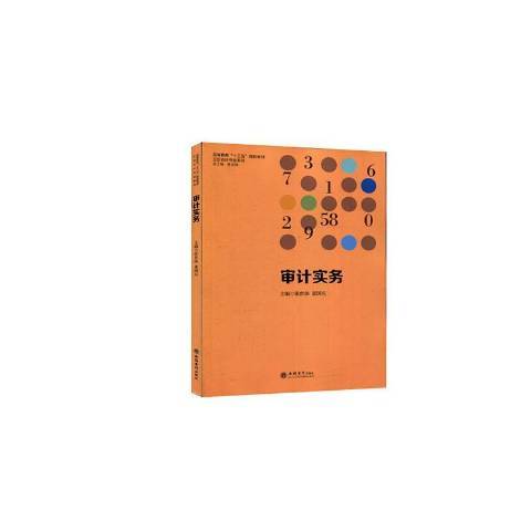 審計實務(2020年立信會計出版社出版的圖書) 審計實務(2020年立信會計出版社出版的圖書)