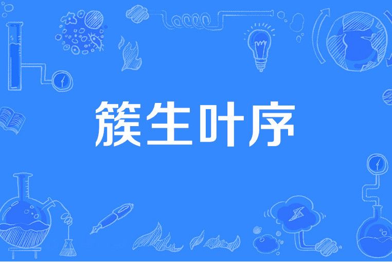 簇生葉序 簇生葉序