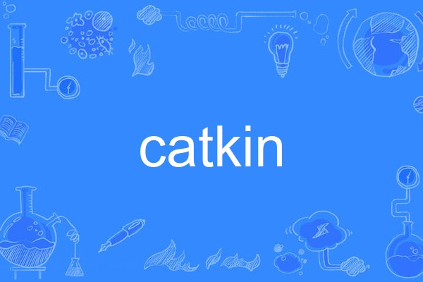 catkin catkin