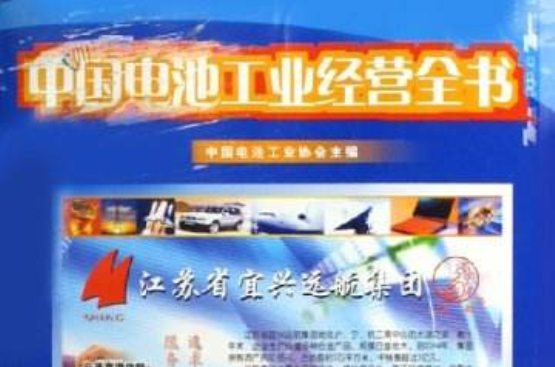 中國電池子業經營全書