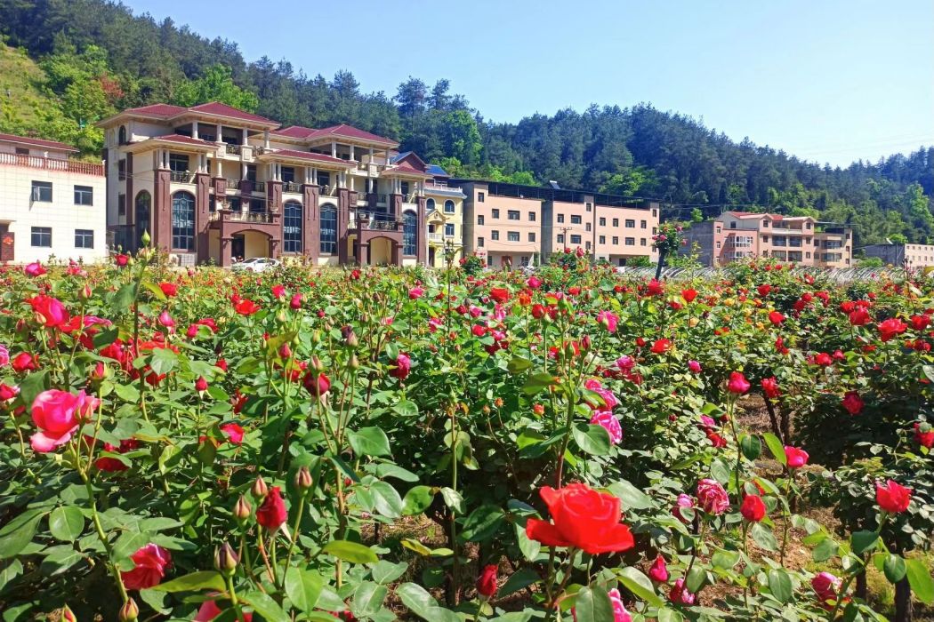 梁家溝村(湖北省十堰市張灣區漢江路街道下轄村) 梁家溝村(湖北省十堰市張灣區漢江路街道下轄村)