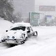 新疆雪災 新疆雪災