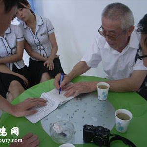 姜城堡 姜城堡