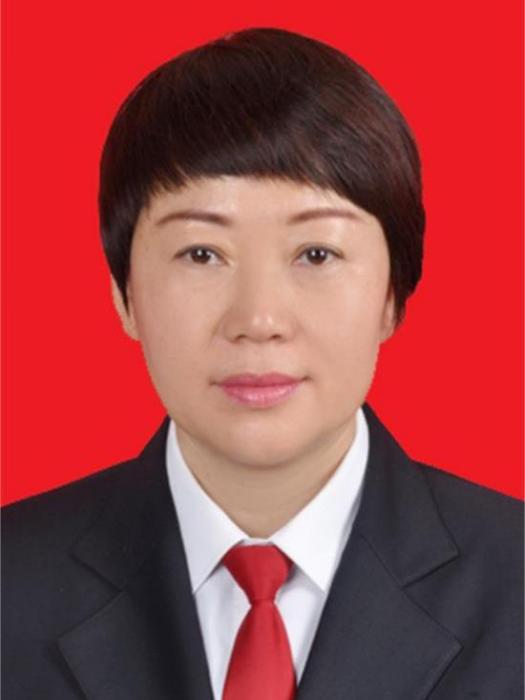 夏俊英(山西省大同市天鎮縣政協黨組成員、副主席) 夏俊英(山西省大同市天鎮縣政協黨組成員、副主席)
