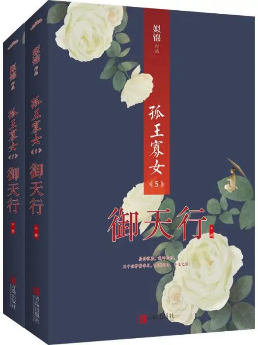 孤王寡女(2018年青島出版社出版的圖書)