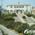 中侖村 中侖村