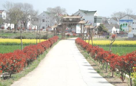 楓香嶺村