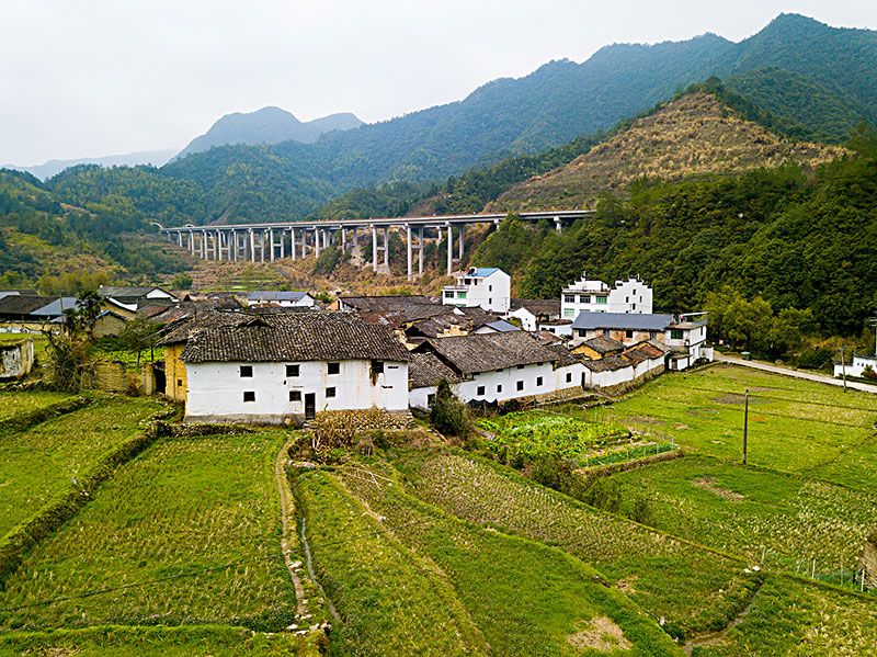 孫垟村 孫垟村