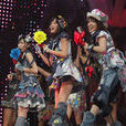 AKB48“沒有驚喜”演唱會