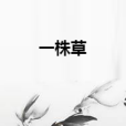 一株草 一株草