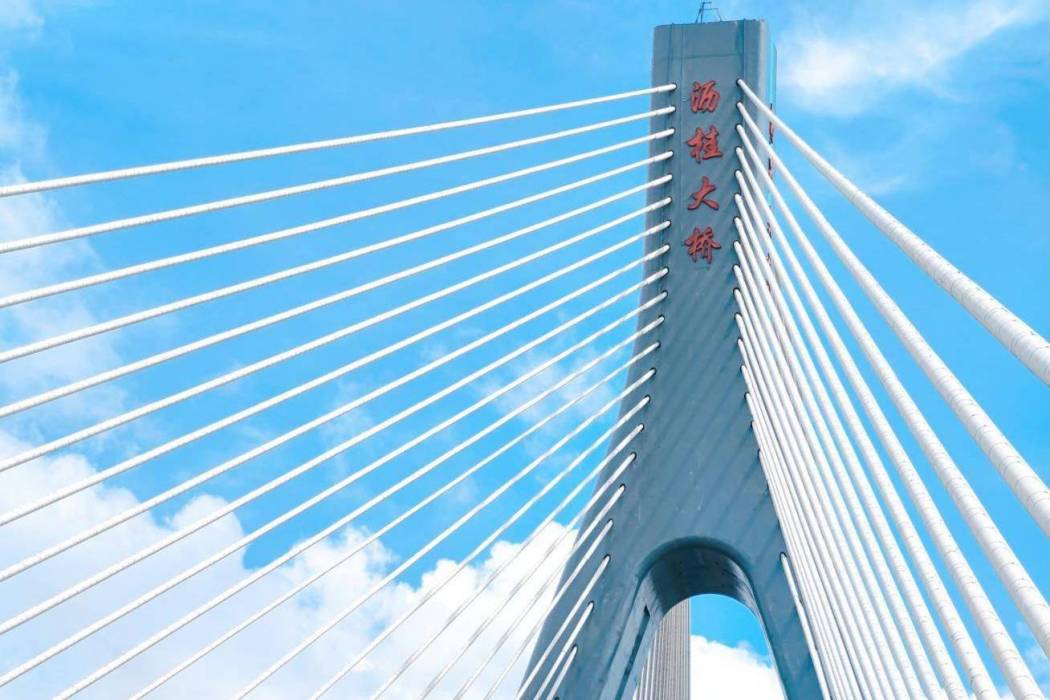 瀝桂大橋 瀝桂大橋
