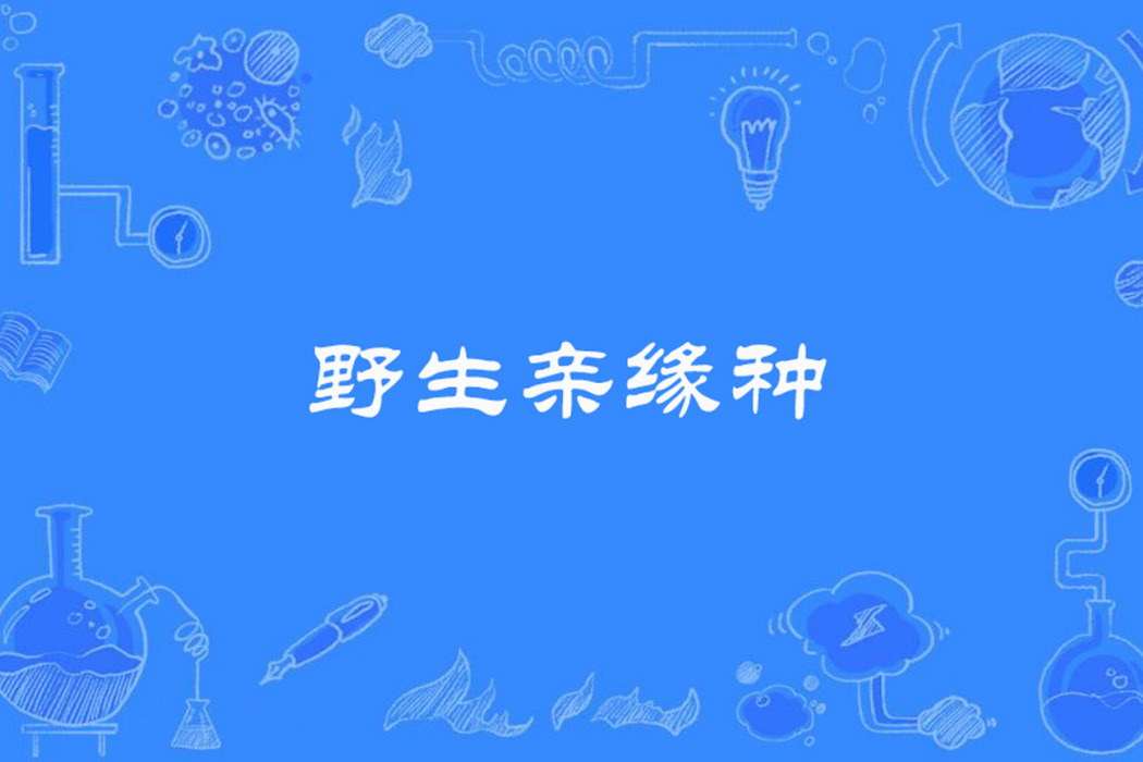野生親緣種 野生親緣種