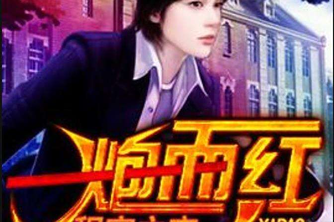一炮而紅(程家之宇所著小說)