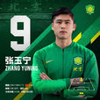 張玉寧(浙江籍足球運動員) 張玉寧(浙江籍足球運動員)